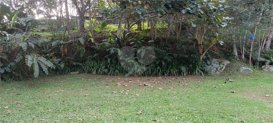 Foto REO1102990