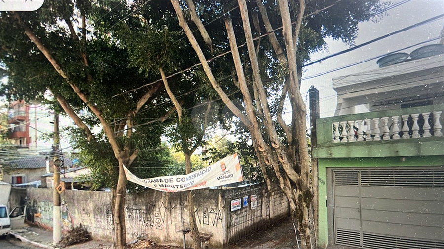 Foto REO1103038