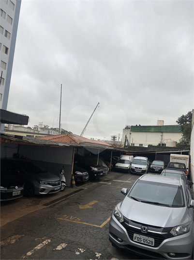 Foto REO1103078