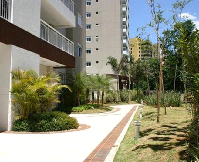 Foto REO1103080