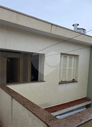 Foto REO1103165