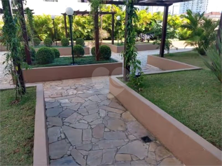 Foto REO1103168