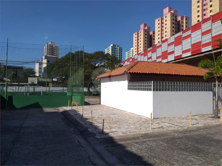 Foto REO1103177