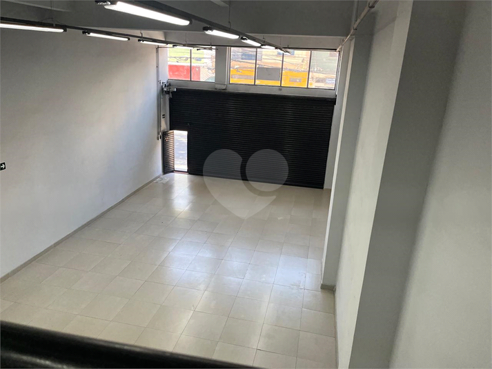 Foto REO1103181