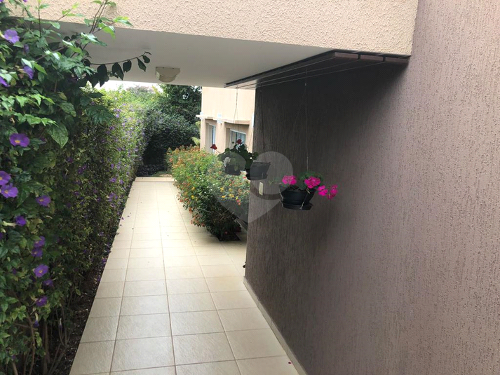 Foto REO1103191