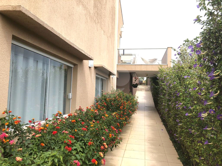 Foto REO1103191