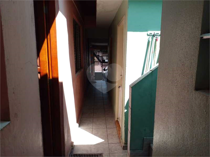 Foto REO1103226