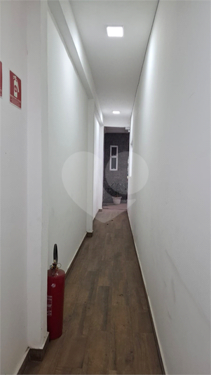 Foto REO1103233