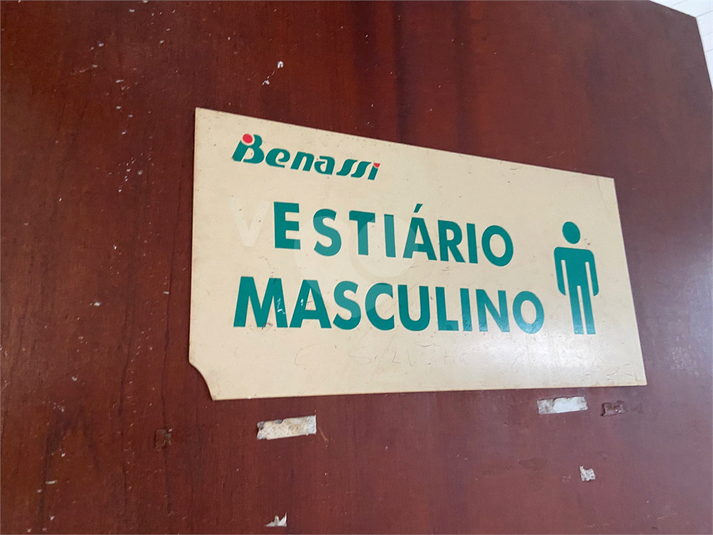 Foto REO1103235