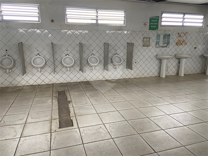 Foto REO1103235
