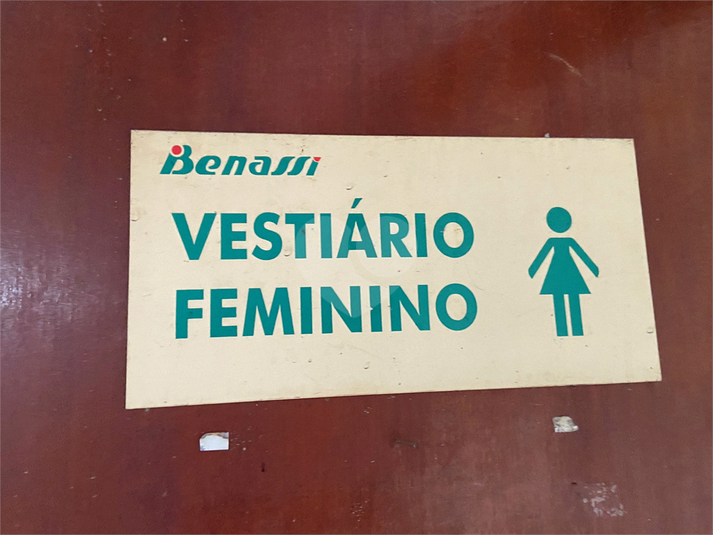 Foto REO1103235