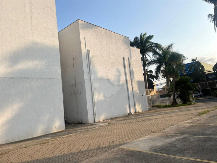 Foto REO1103239