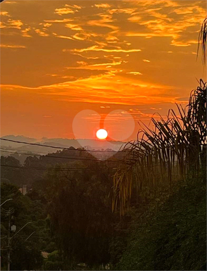 Foto REO1103255