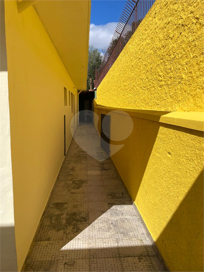 Foto REO1103264