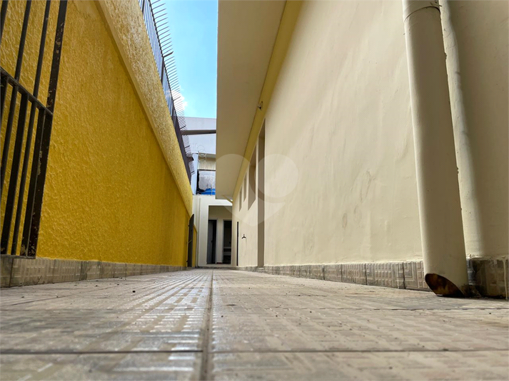 Foto REO1103264