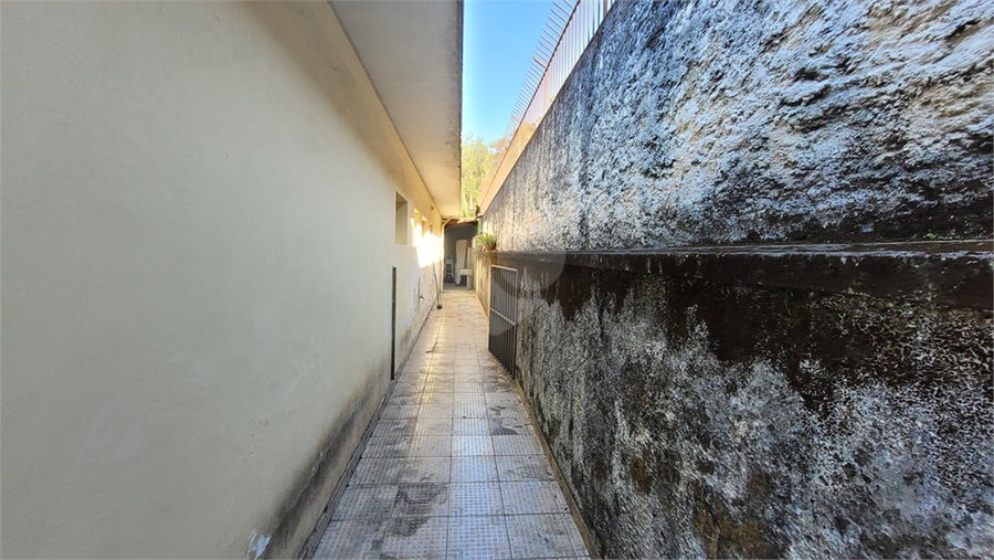 Foto REO1103264