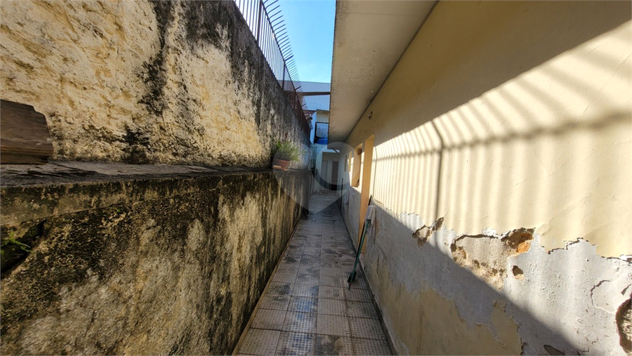 Foto REO1103264
