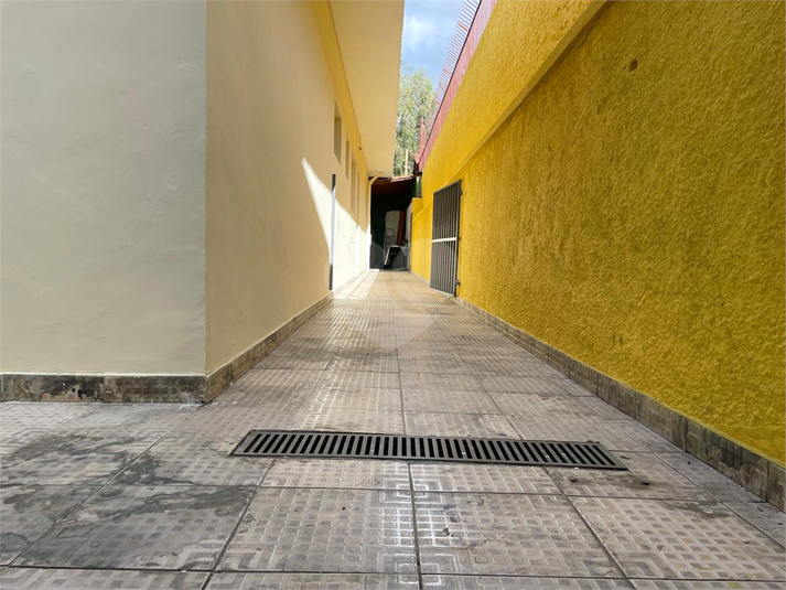 Foto REO1103264