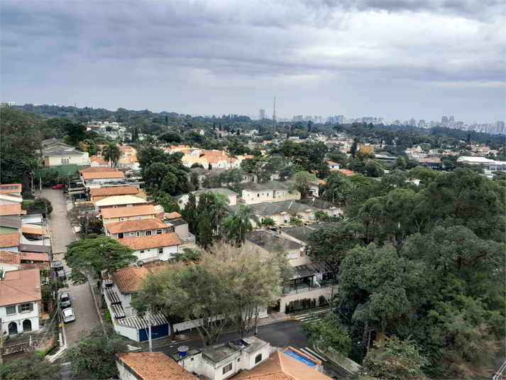 Foto REO1103266