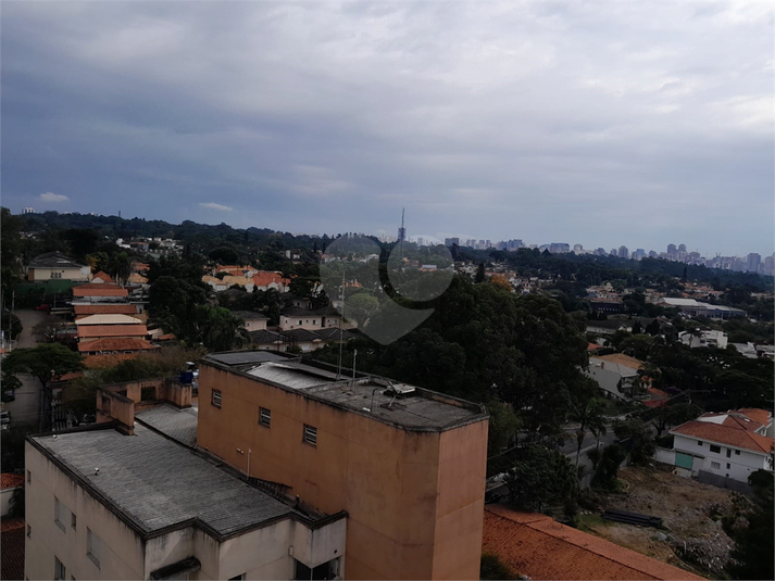 Foto REO1103266