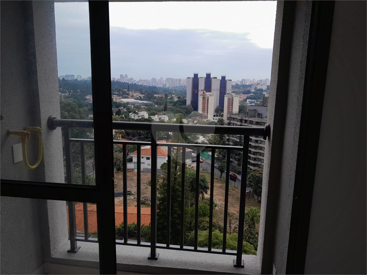Foto REO1103266