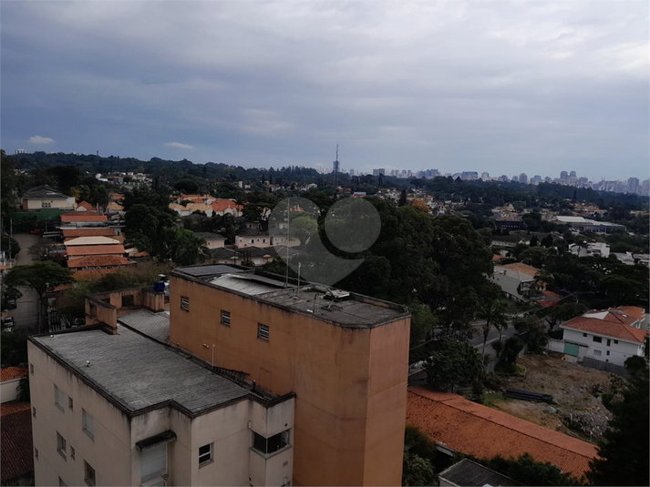 Foto REO1103266
