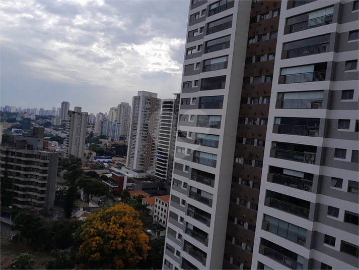 Foto REO1103266