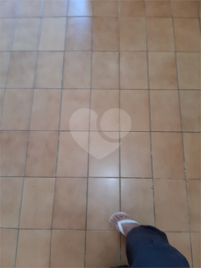 Foto REO1103276