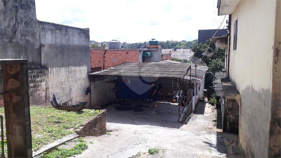 Foto REO1103279