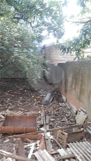 Foto REO1103279