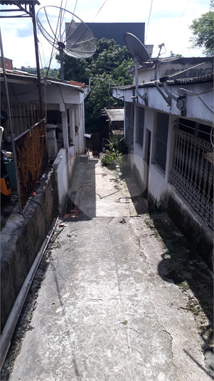 Foto REO1103279