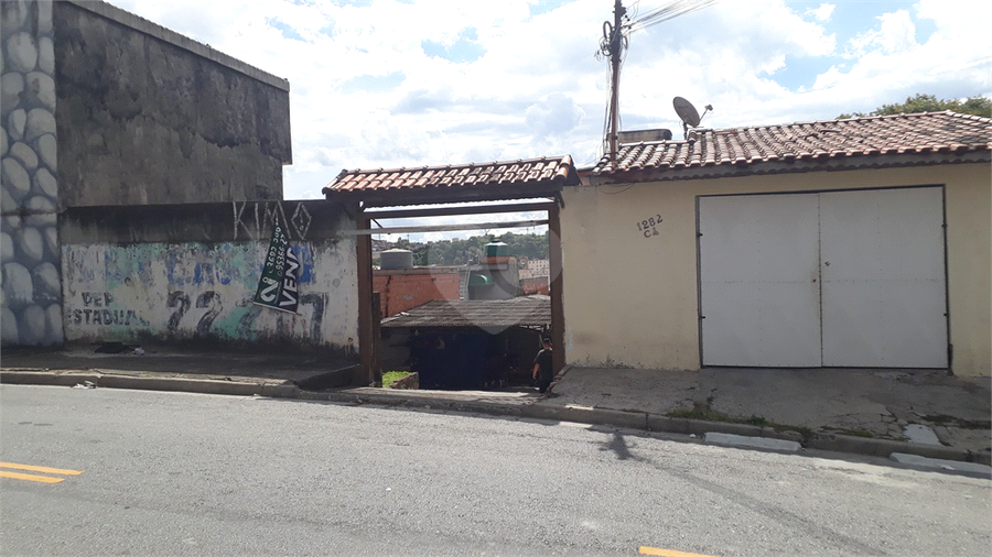 Foto REO1103279