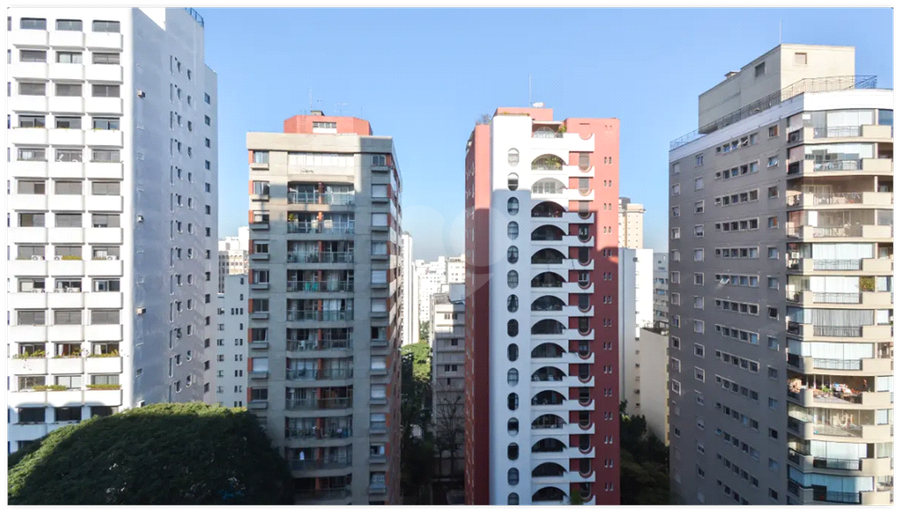 Foto REO1103317