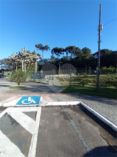 Foto REO1103329