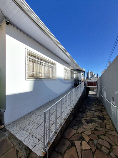 Foto REO1103357