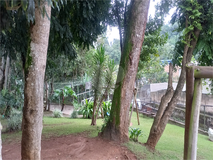 Foto REO1103364