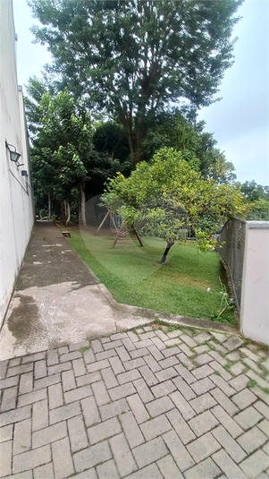 Foto REO1103364