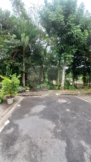Foto REO1103364