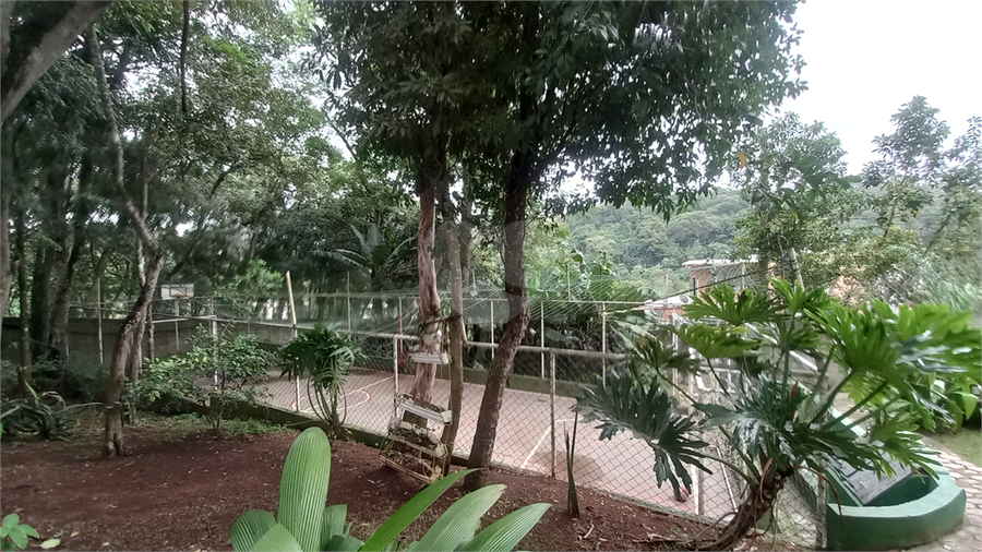Foto REO1103364