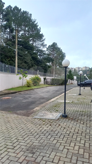 Foto REO1103364