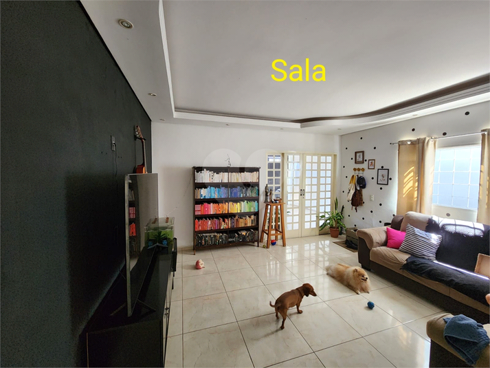 Foto REO1103379