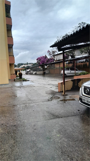 Foto REO1103380
