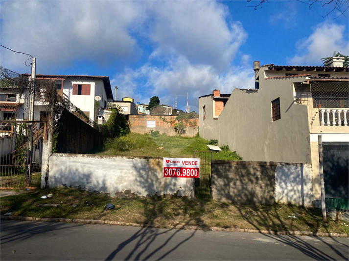 Foto REO1103427