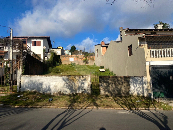 Foto REO1103427