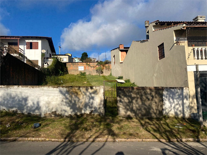 Foto REO1103427