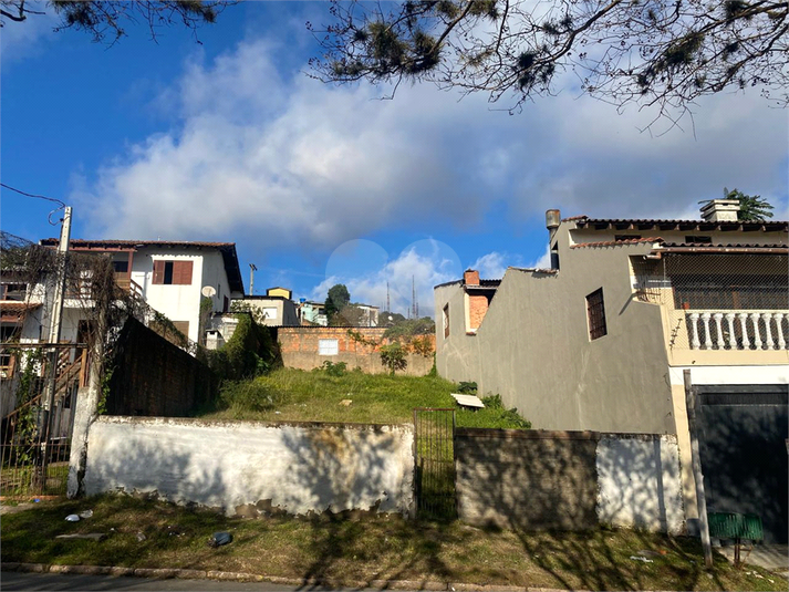 Foto REO1103427