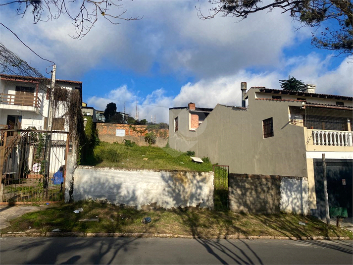 Foto REO1103427