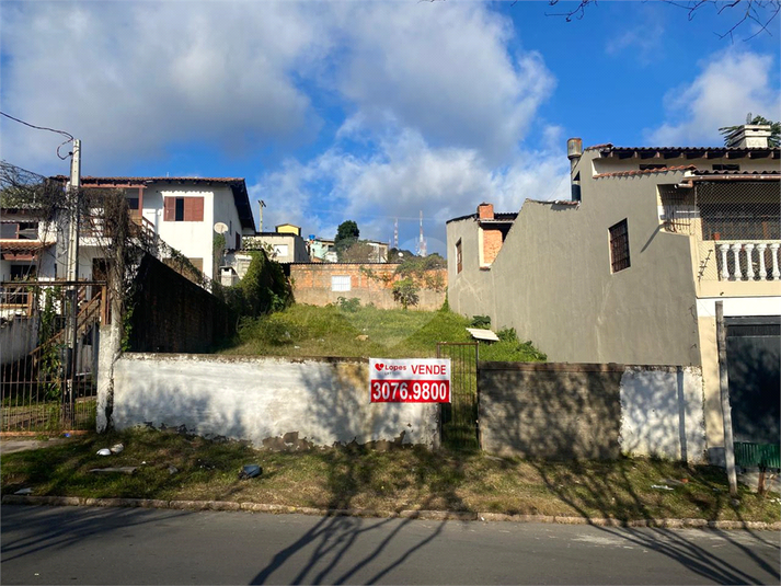 Foto REO1103427