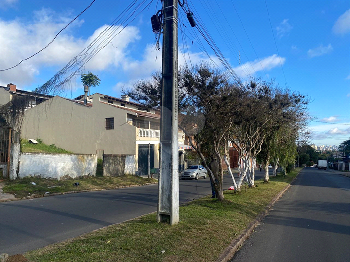 Foto REO1103427