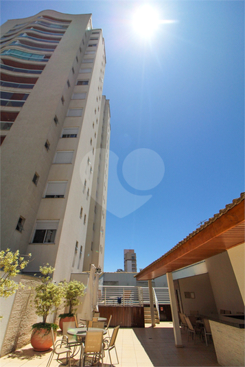 Foto REO1103439